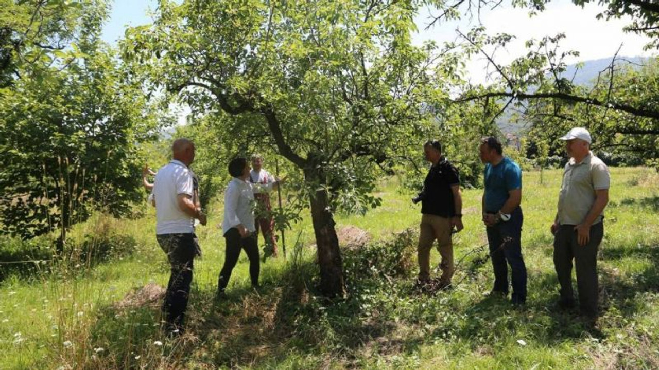 Fidancılık kursiyerleri artık daha bilinçli