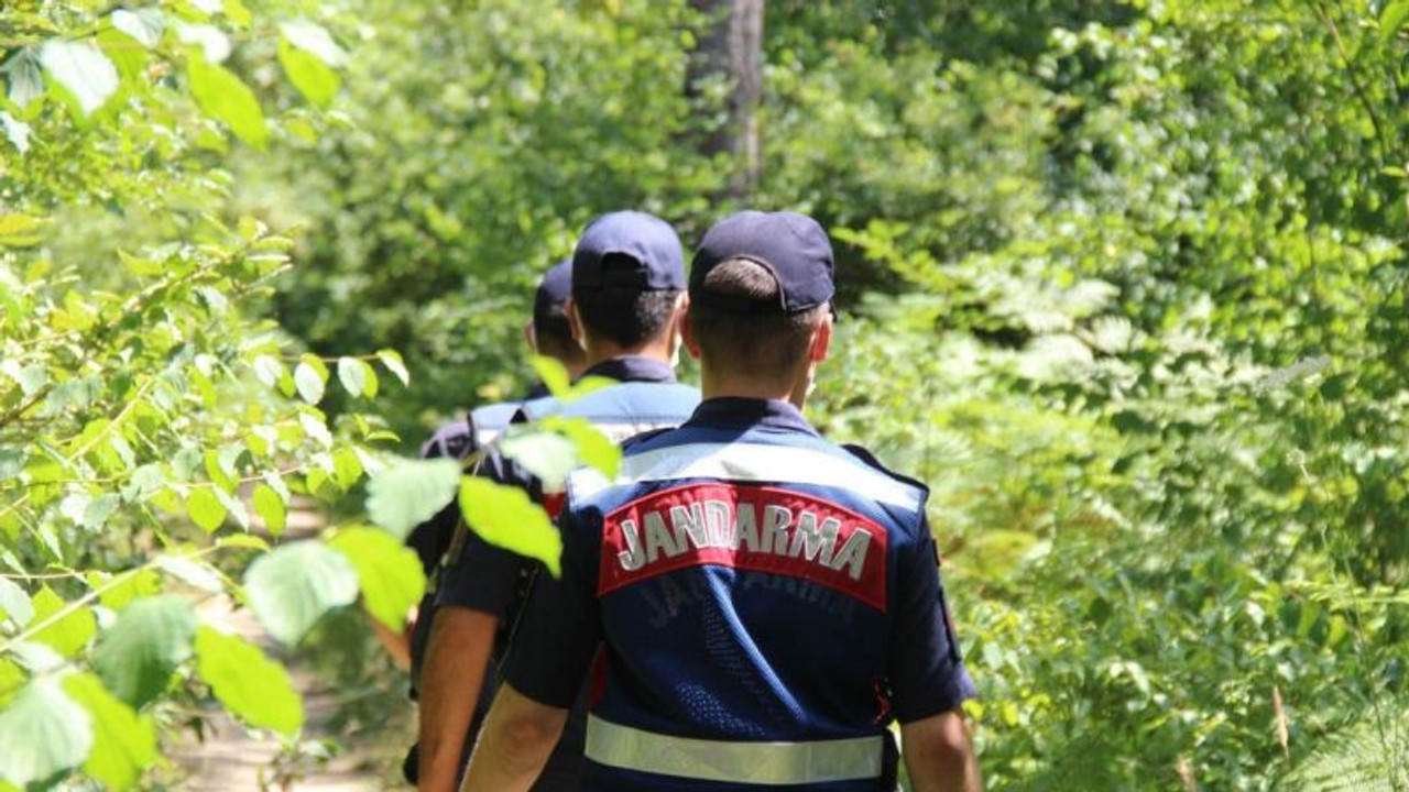 Vatandaşların girmesinin yasaklandığı ormanlarda sıkı denetim