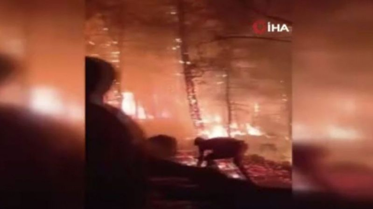 Yangın bölgesinde itfaiyecilerin ve vatandaşların ölüm kalım savaşı