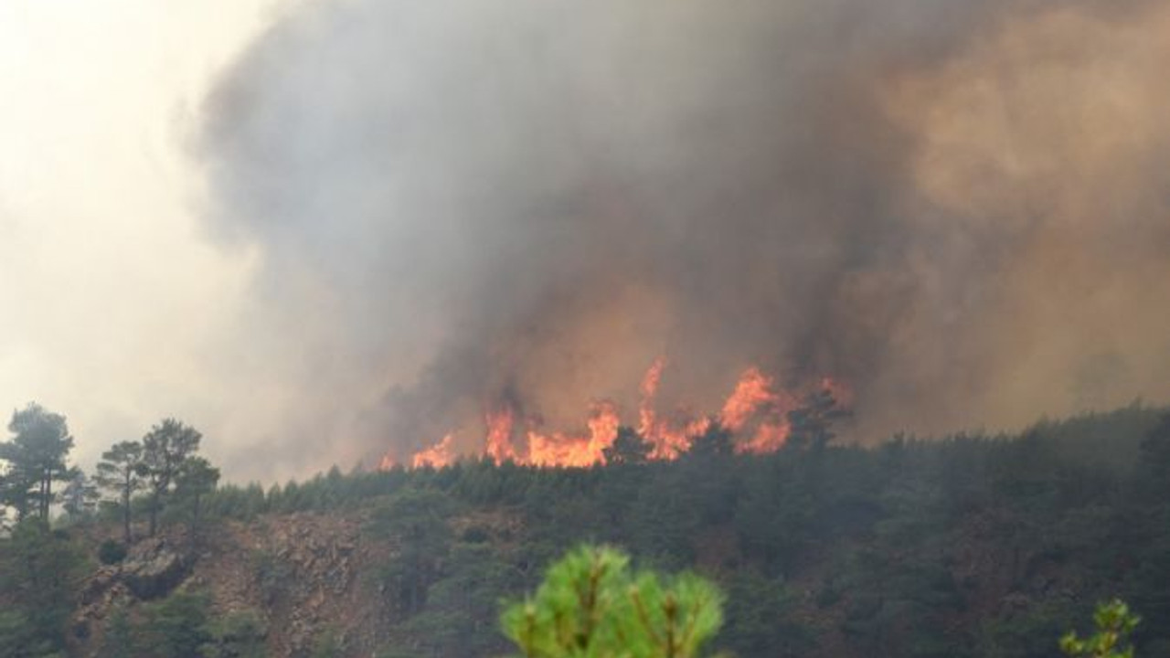 Kabus geri döndü, yangın yeniden başladı