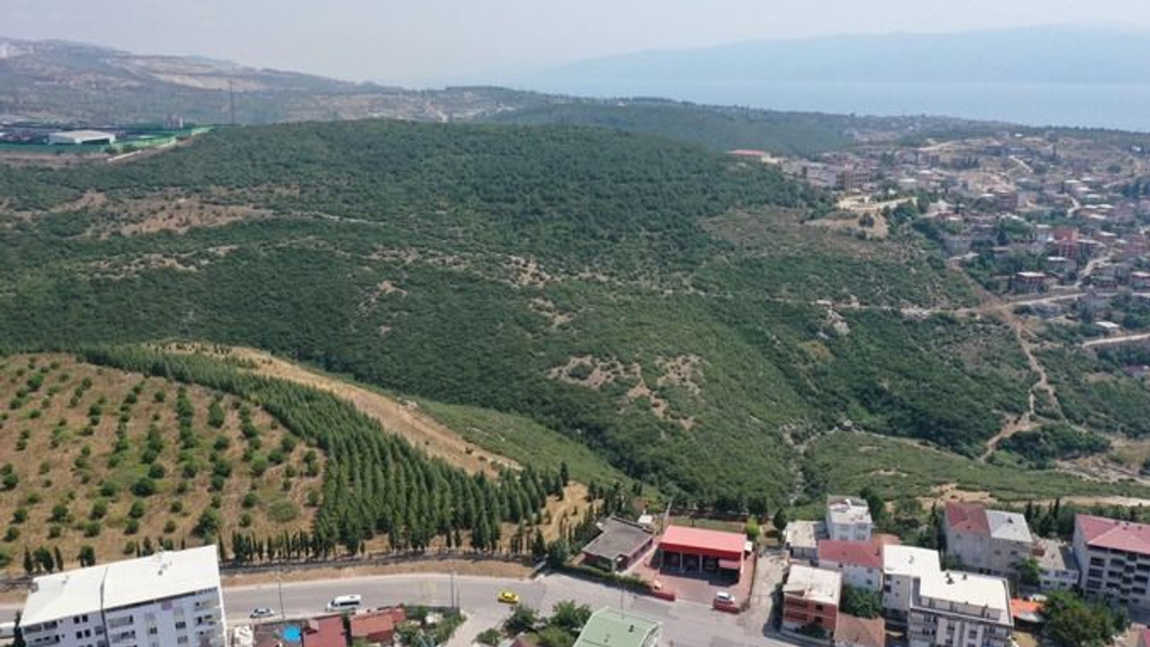 Bu yol hastaneye erişimi kolaylaştıracak