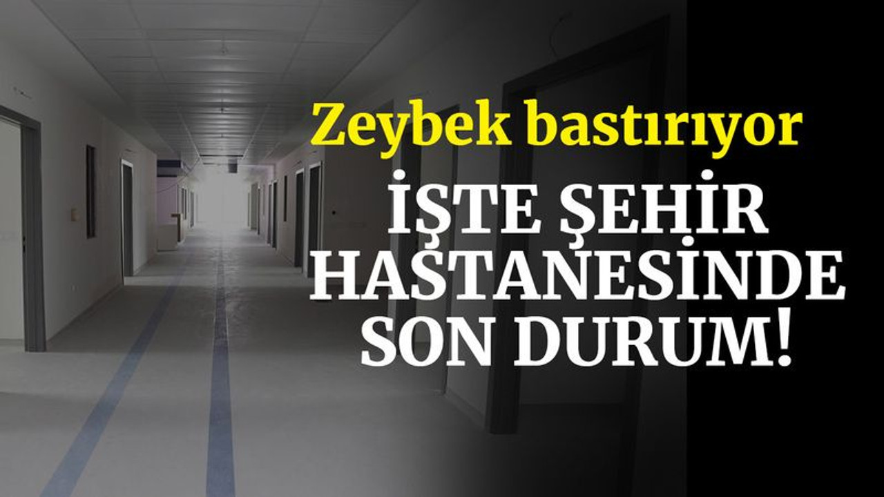 Zeybek, yıl sonu için bastırıyor
