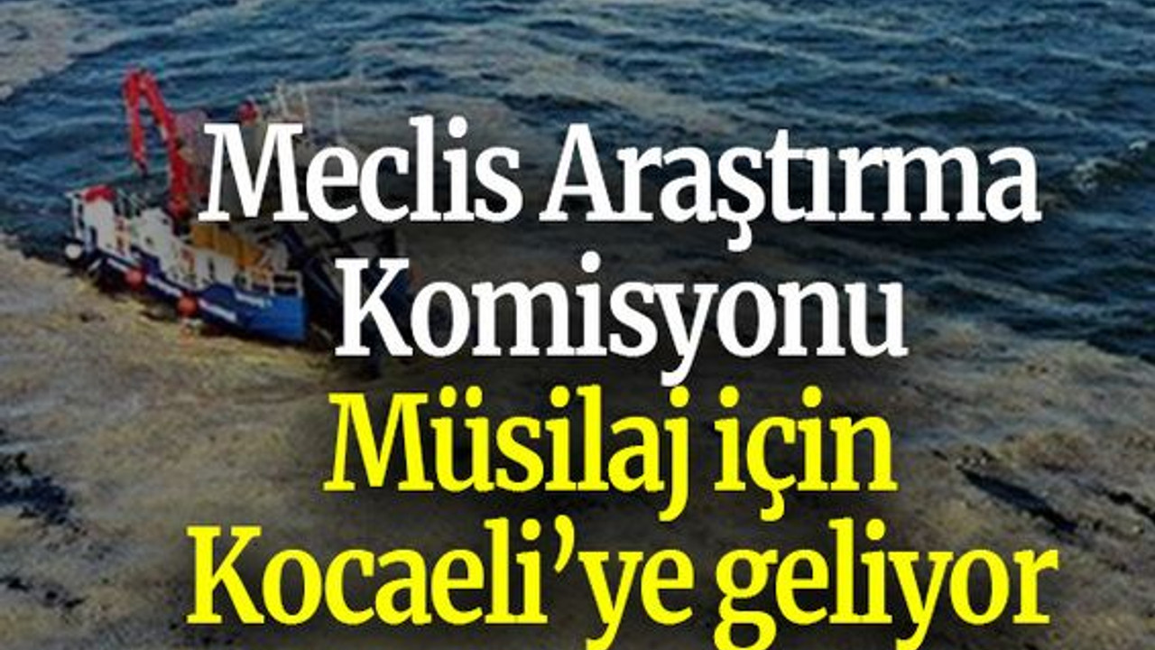 Meclis Araştırma Komisyonu Müsilaj için Kocaeli’ye geliyor