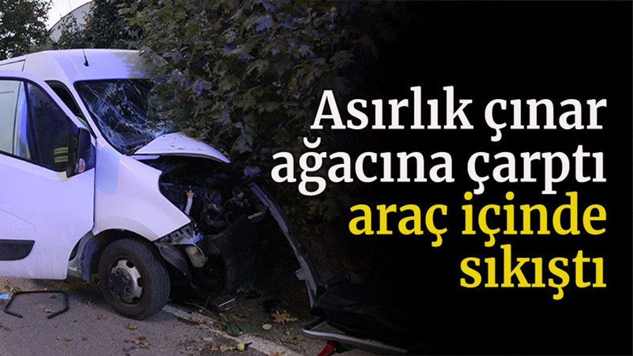 Asırlık çınar ağacına çarptı, araç içinde sıkıştı
