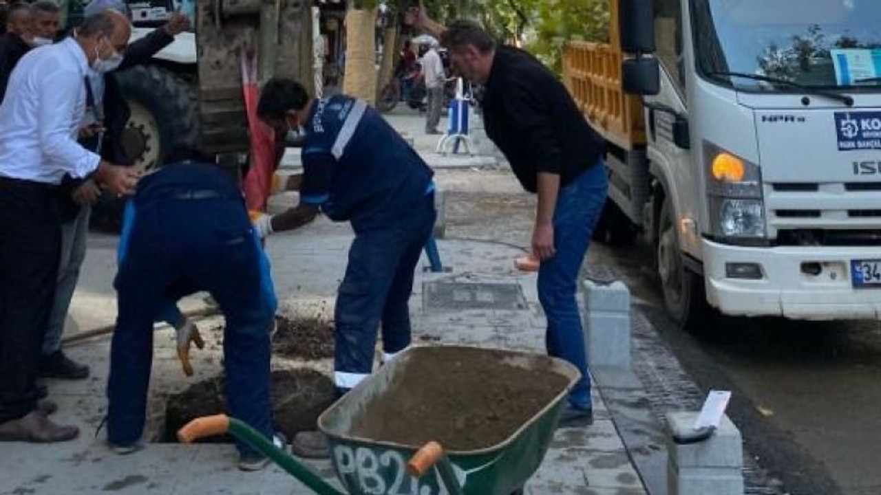Devrilme tehlikesi olan ağaç için önlem alındı