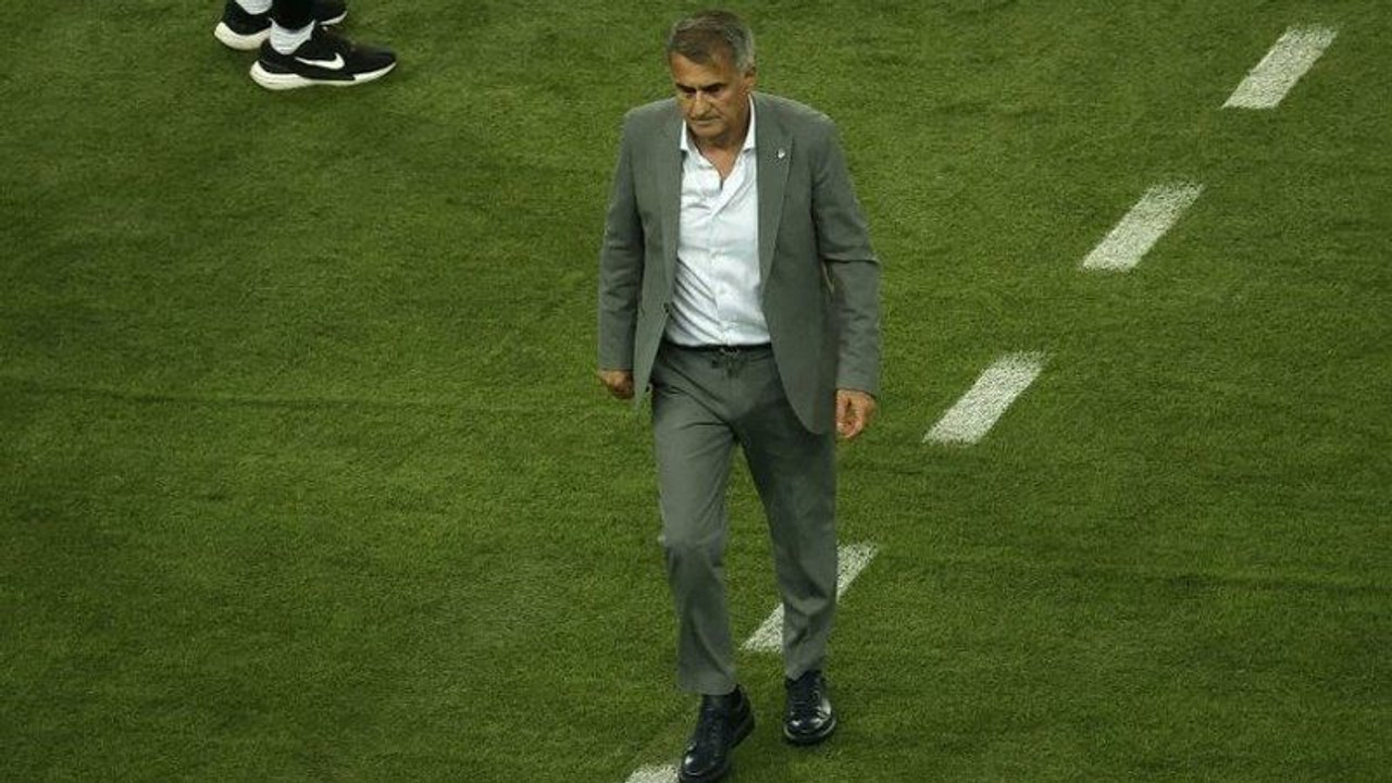 A Milli Takım'da Şenol Güneş dönemi sona erdi!