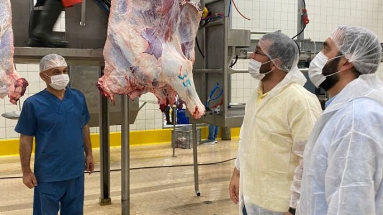 Büyükşehir Mezbahasında TSE tescilli kesim