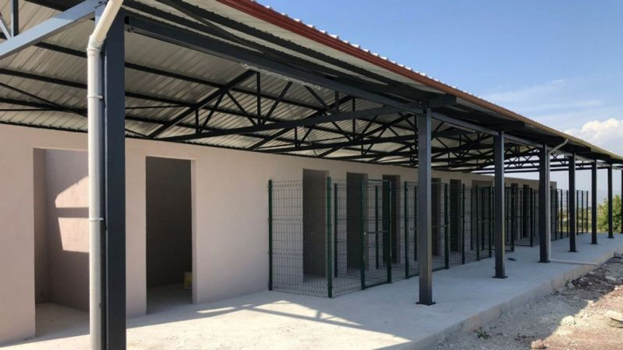 Kartepe’nin sokak hayvanlarına rehabilitasyon merkezi