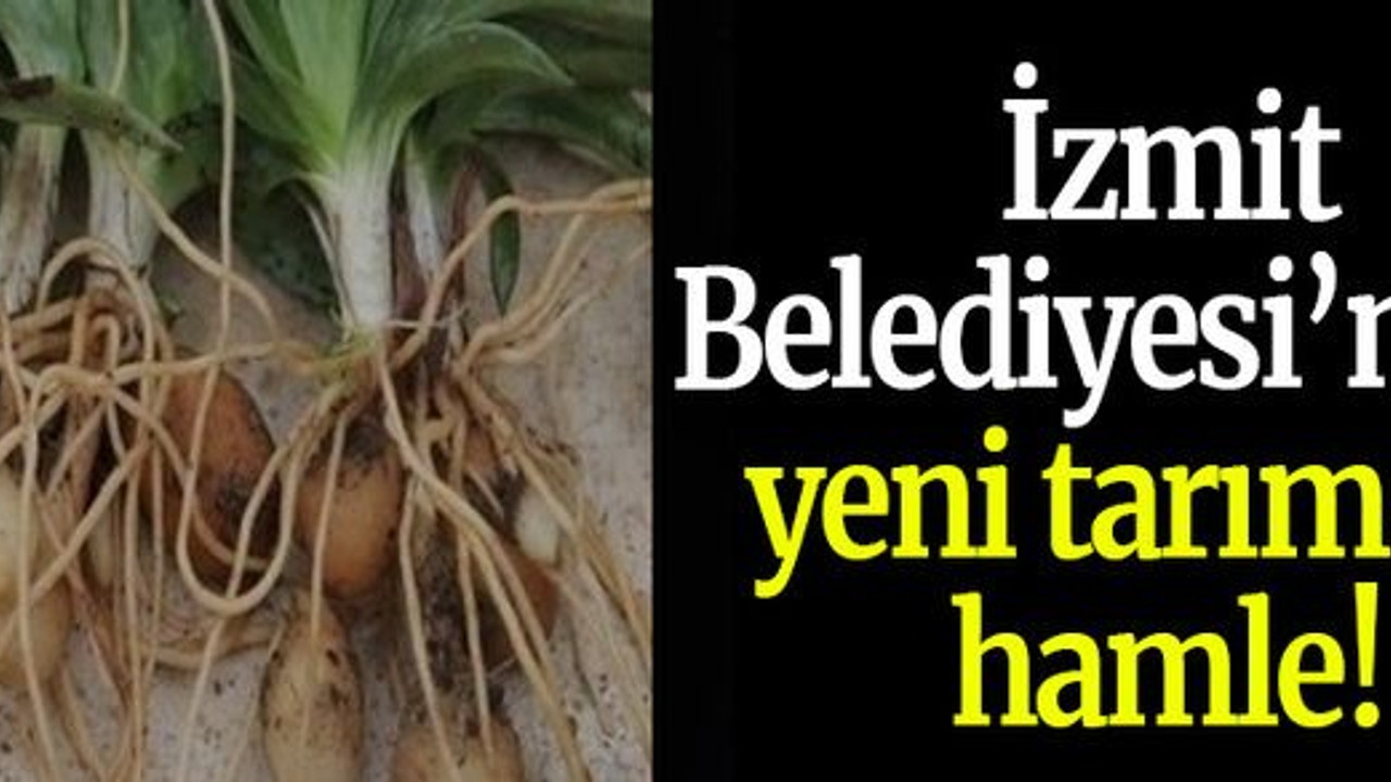 İzmit Belediyesinden yeni tarımsal hamle!