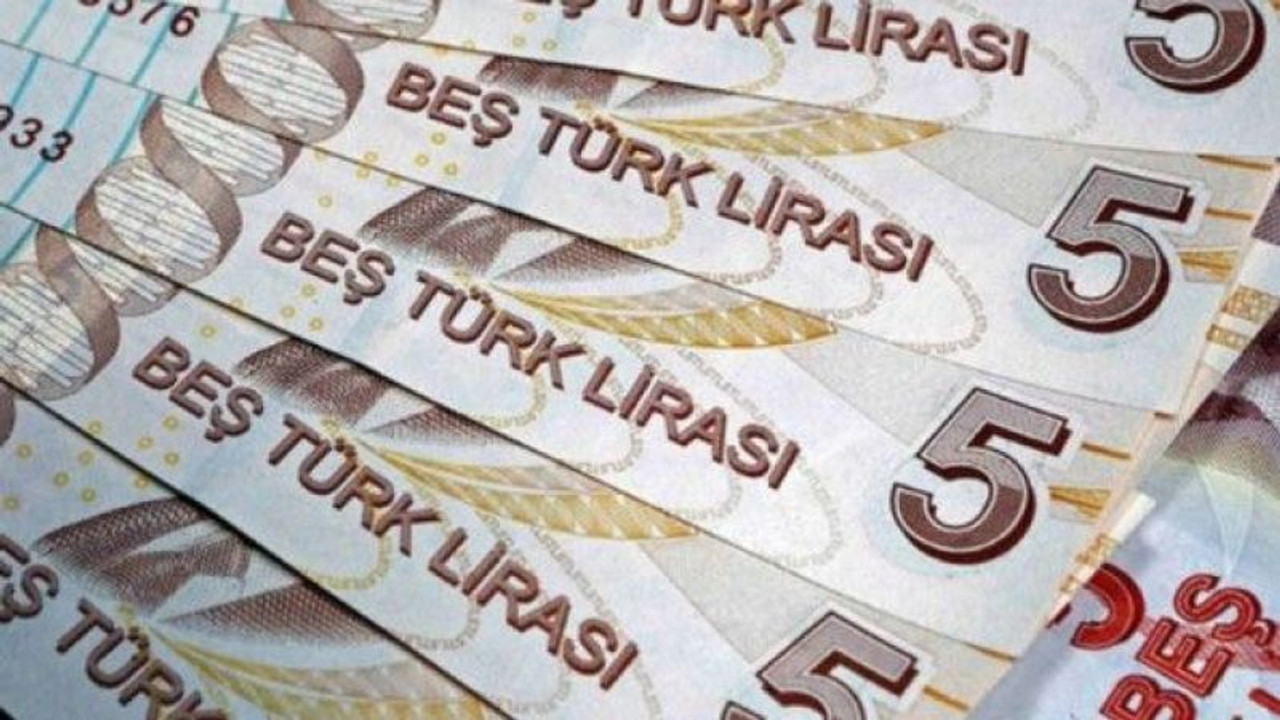 Yeni dönem: 20 TL ve 5 TL'lik banknotlarda değişiklik