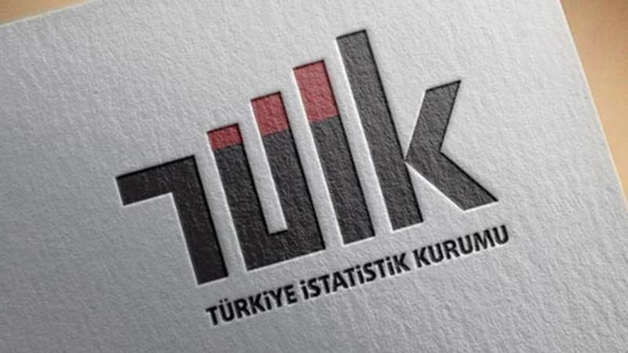 Erdoğan imzaladı, resmi istatistikte yapılanma yine değişti
