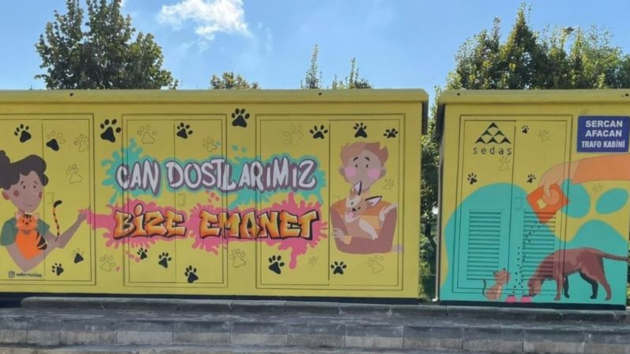 “Tuvalimiz Trafolar” projesinden Hayvanları Koruma Günü mesajı