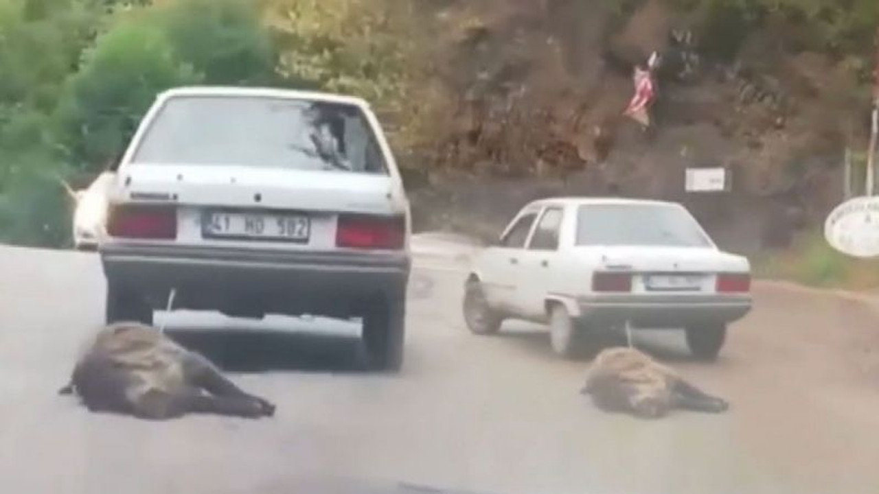 Otomobilin arkasına bağlayıp sürükledi!