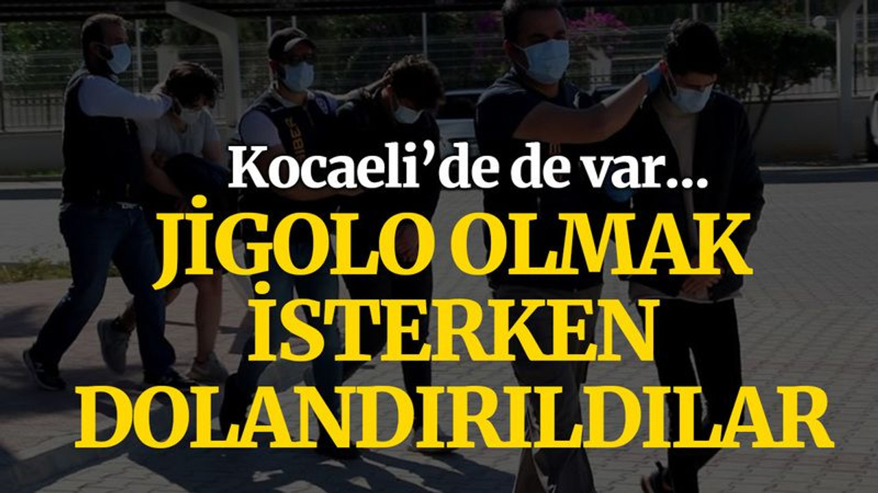 Jigolo olmak isterken dolandırıldılar! Kocaelililer de var!