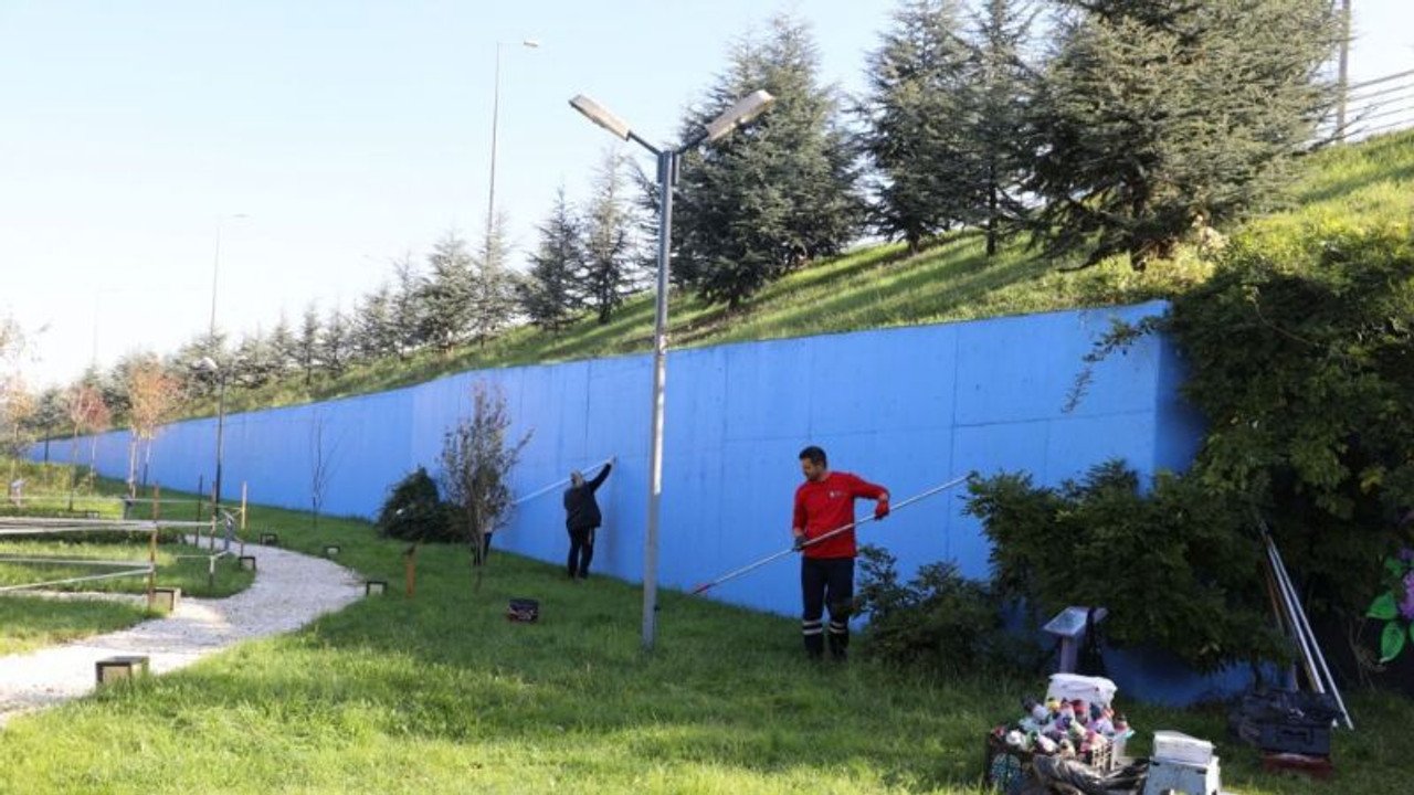 Tıbbi Aromatik Bitkiler Bahçesi rengârenk oluyor