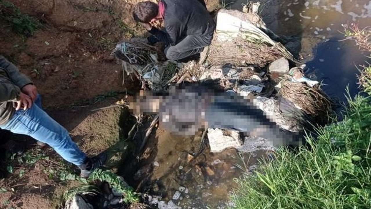 Dere kenarında cansız bedeni bulundu