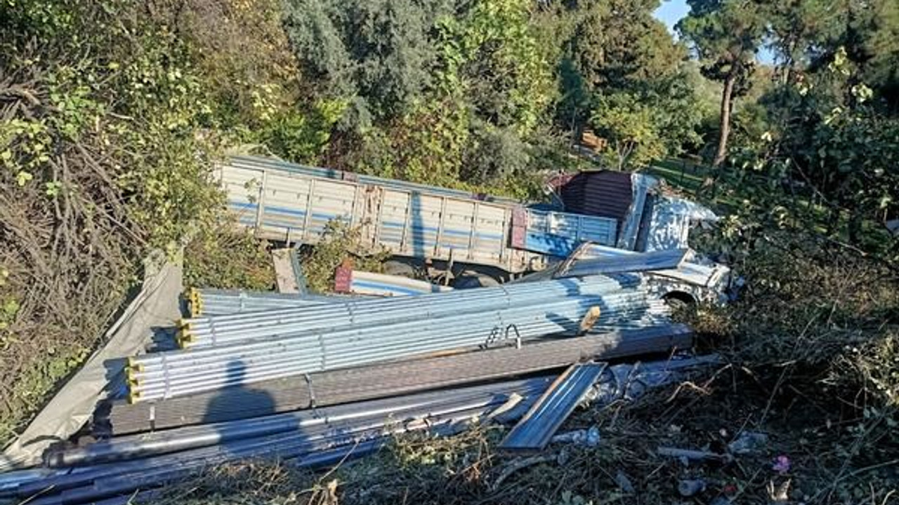 Araçlara çarpmamak için canını hiçe saydı