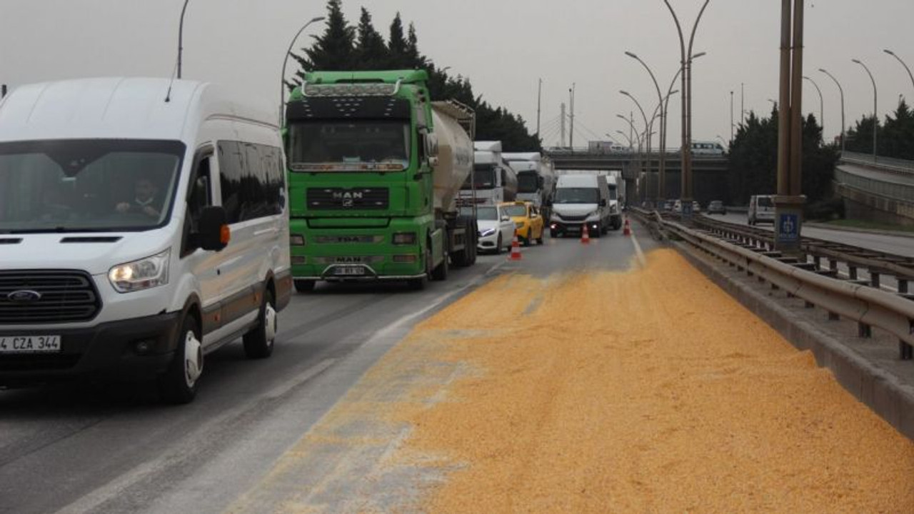 Yol mısır tarlasına döndü