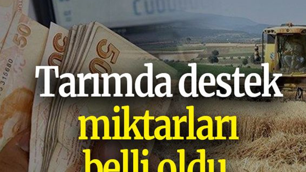 Tarımda destek miktarları belli oldu
