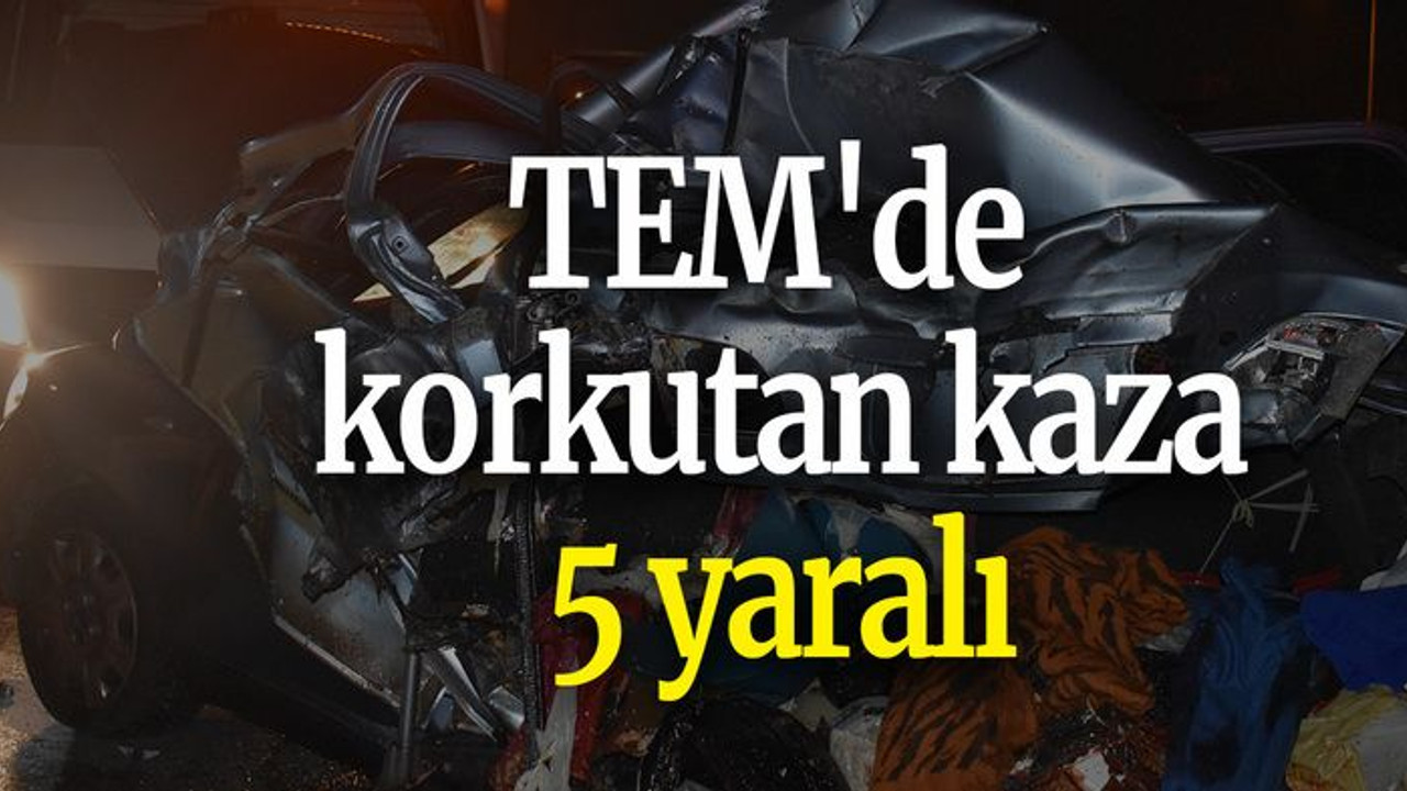 TEM'de korkutan kaza: 5 yaralı