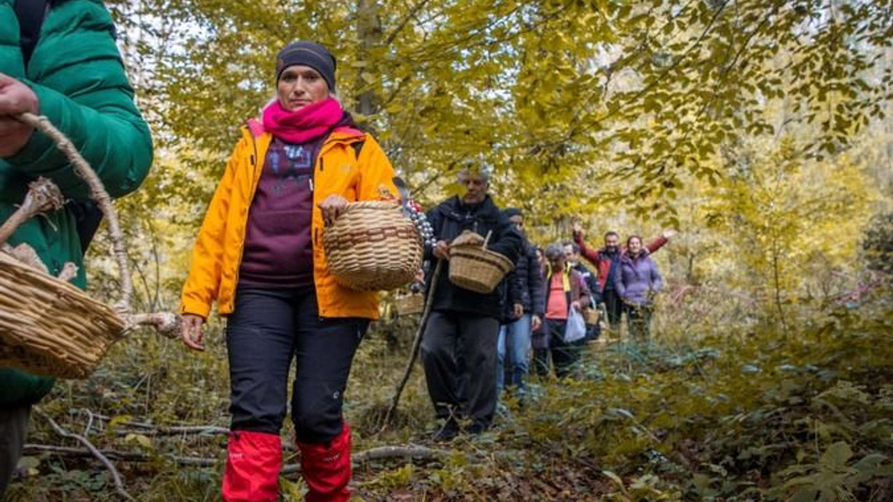 Ormanya’da mantar avı