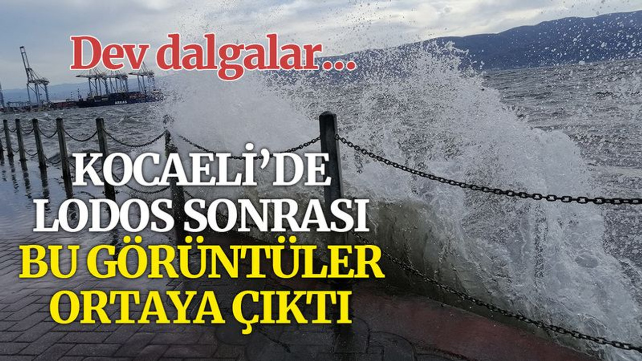 Kocaeli'de lodos hayatı olumsuz etkiledi