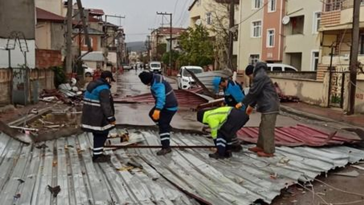 Lodos sonrası çevre temizliği