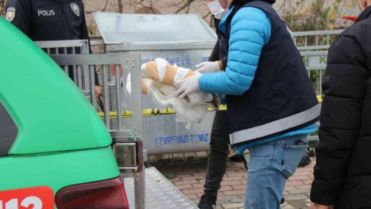 Çöpün yanında ölmüş halde 2 kedi ve 2 köpek bulundu