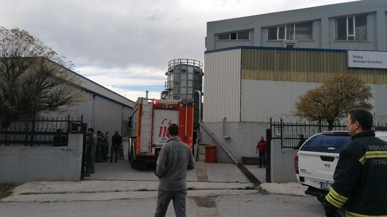 Orman entegre fabrikasında yangın!