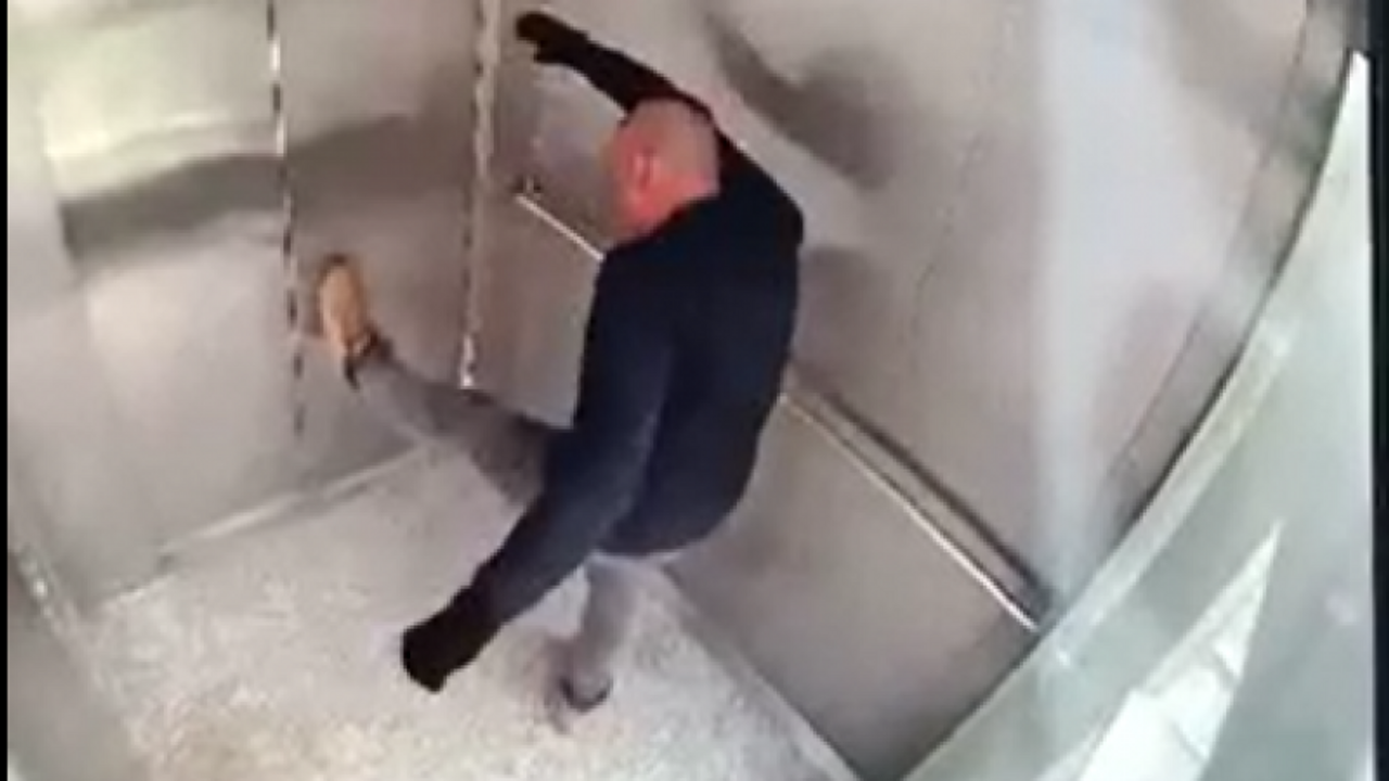 Bunu neden yapıyorsunuz?