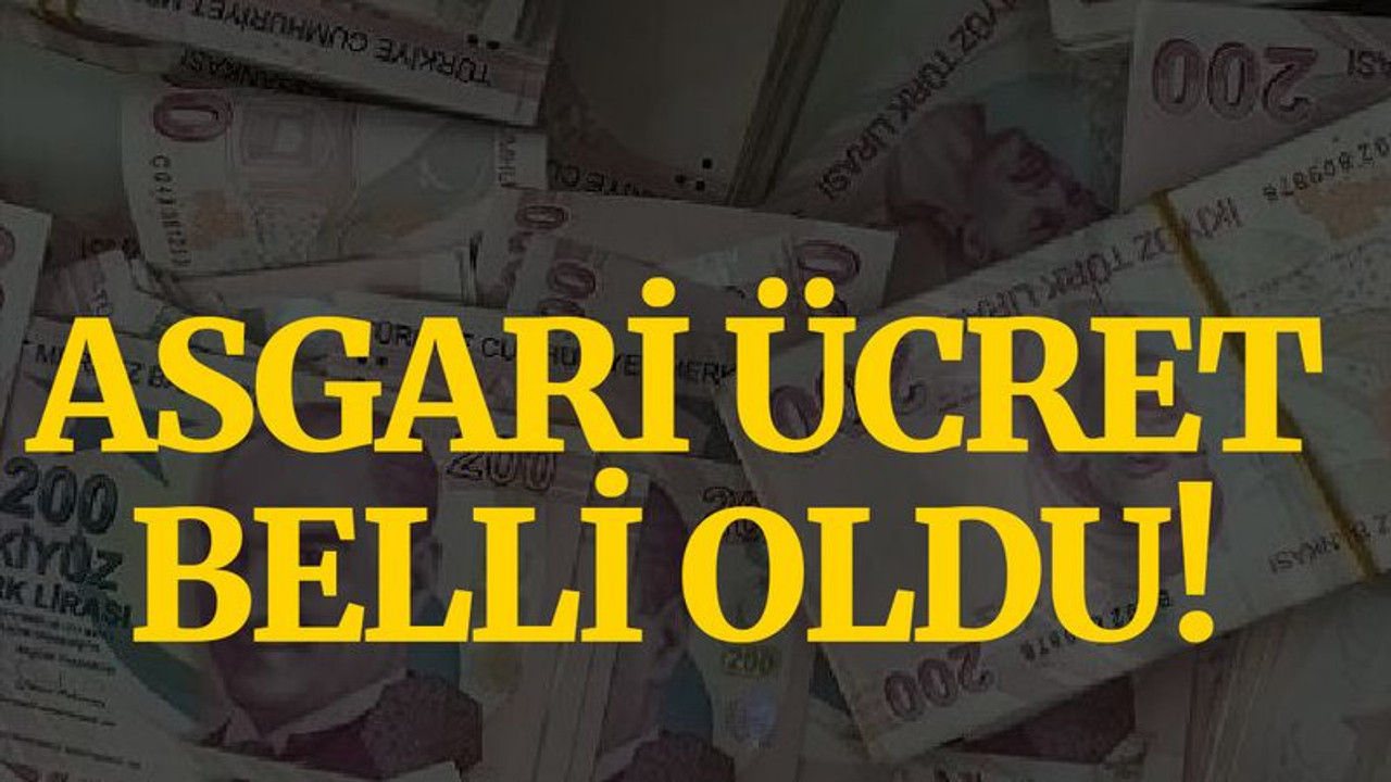 Asgari ücret belli oldu!