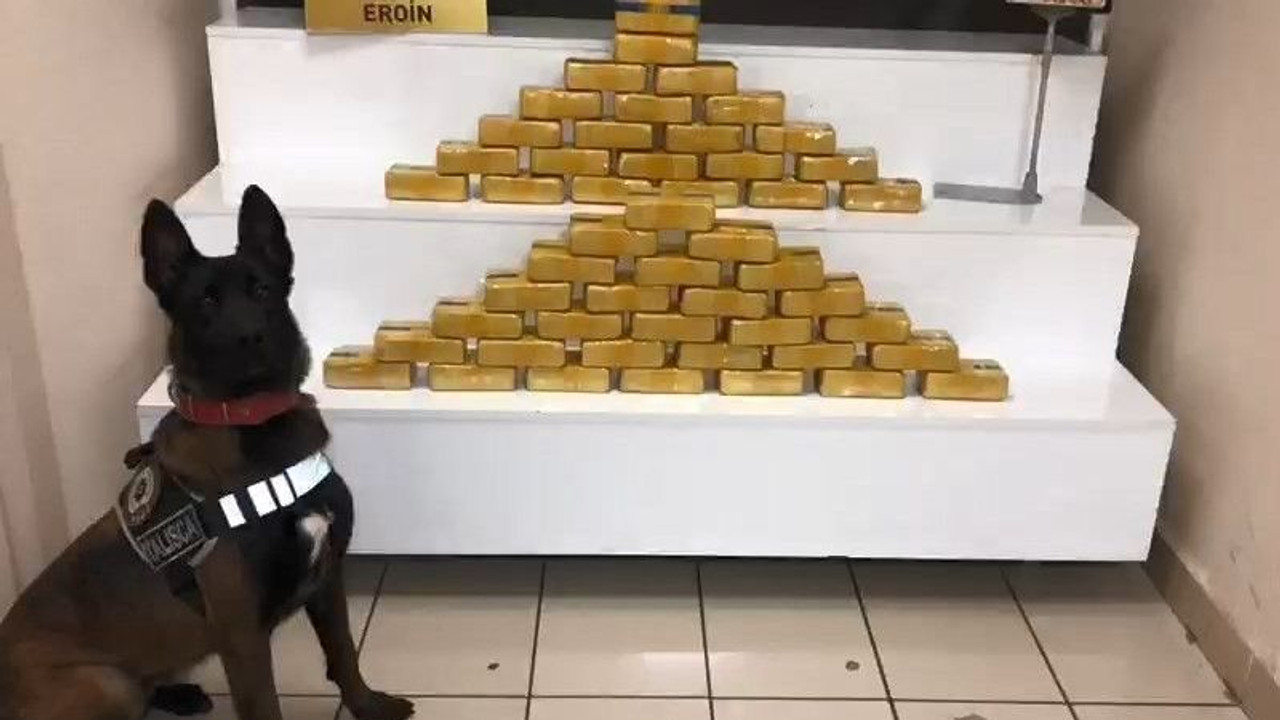 Kocaeli'de 26 kilo eroini narkotik köpeği buldu