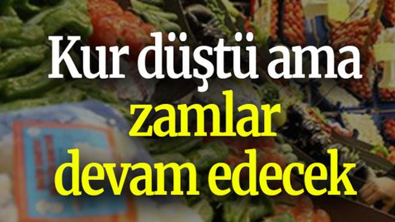 Kur düştü ama zamlar devam edecek