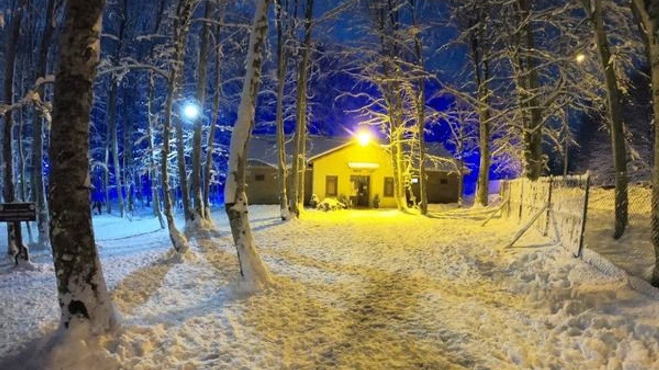 Beyaza büründü, doğaseverler akın etti