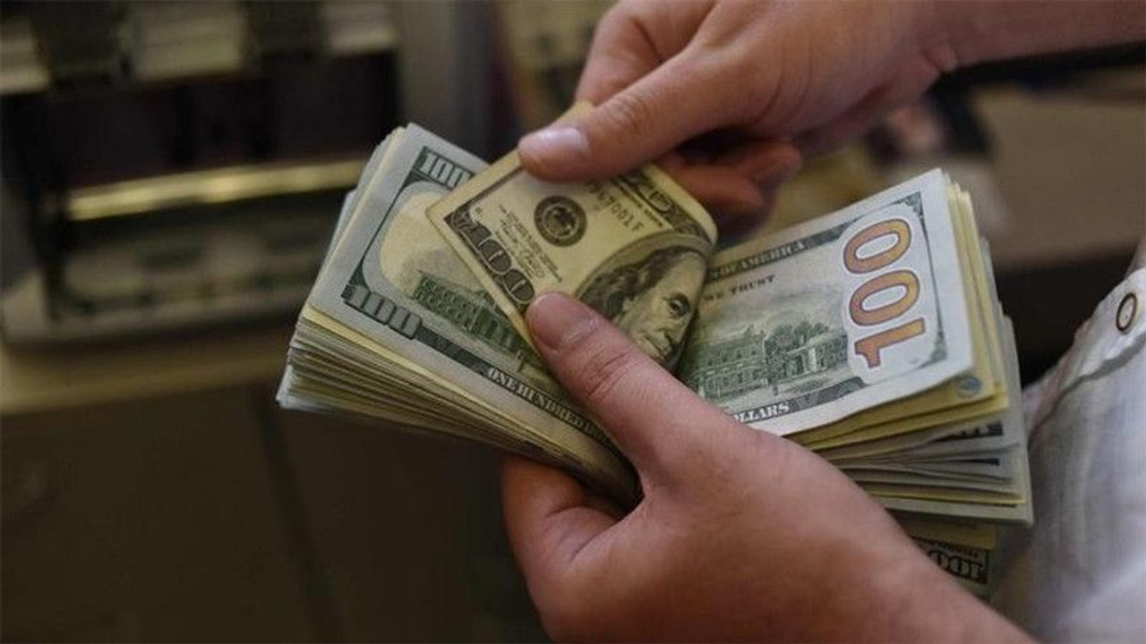 Muhalefet iktidara gelirse dolar...