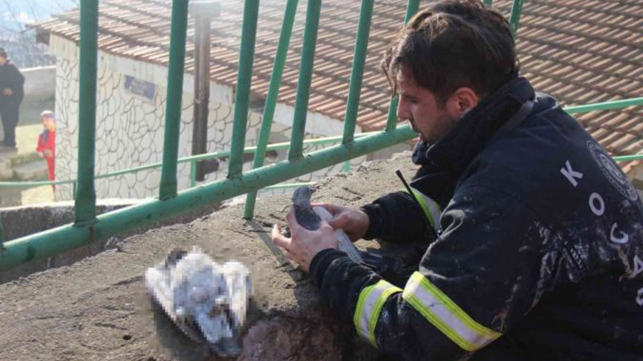 Yangında telef olan köpeklerinin çantasına sarılarak gözyaşlarına boğuldu