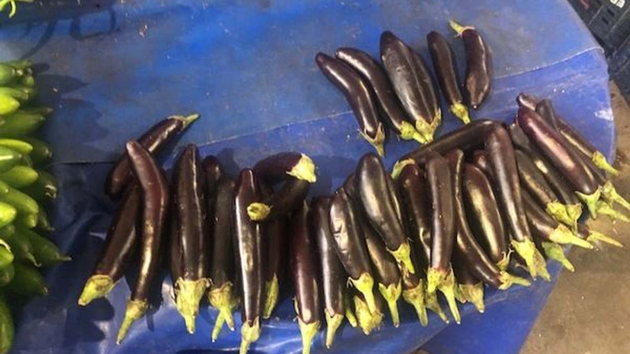 Yazık bu millete… Pazardaki fiyatların hali içler acısı