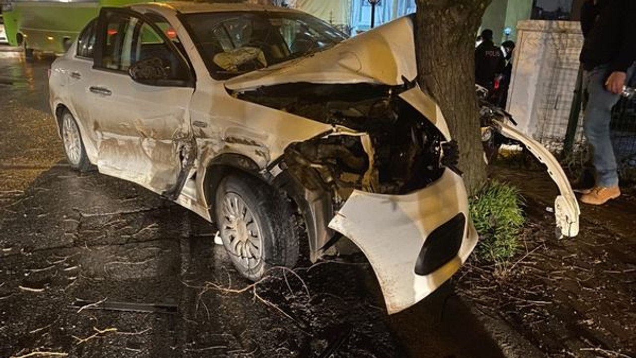 İş makinesini sollamaya çalışırken ağaca girdi!