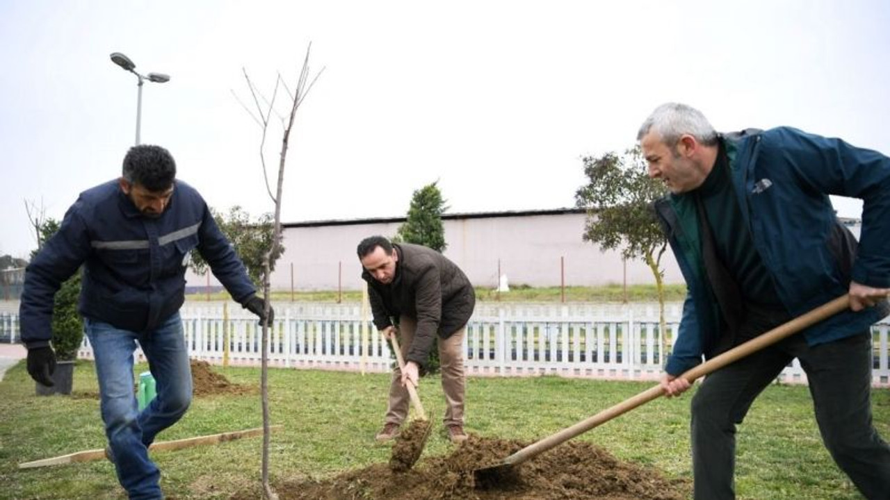 Herkes dalından yesin diye yüzlerce kiraz ve vişne ekildi