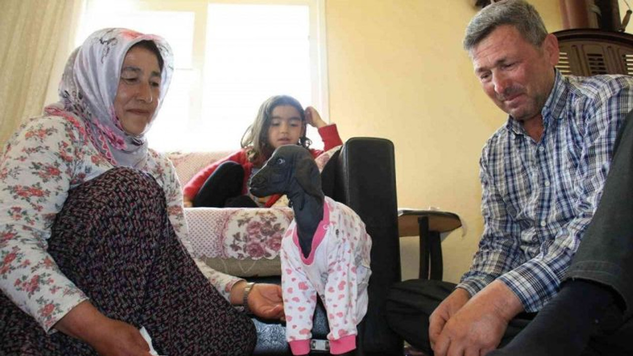 Böyle doğdu, görenler şaştı kaldı!