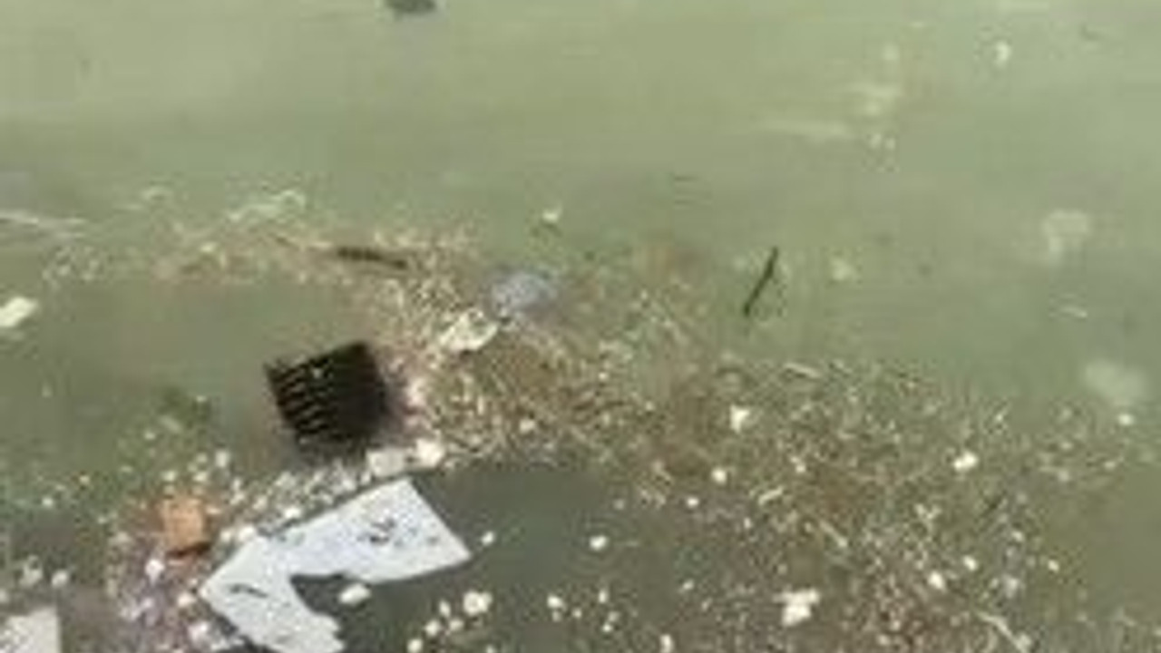 Kocaeli Körfezi ÇÖPLÜĞE DÖNDÜ