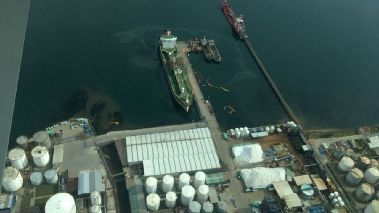 Yine çevre katliamı! İzmit Körfezi'ne petrol döktüler