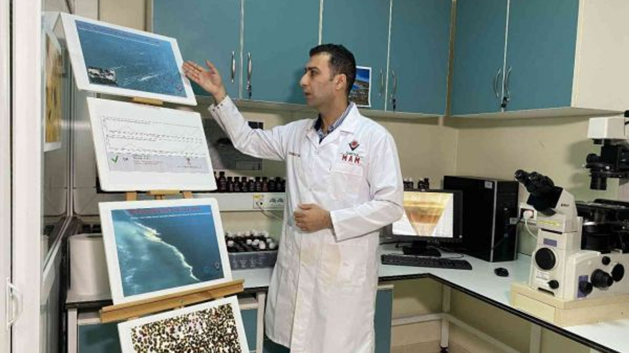 Marmara Denizi’nde alg patlaması alarmı