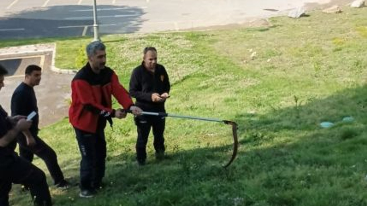 Belediye otobüsünde yılan paniği