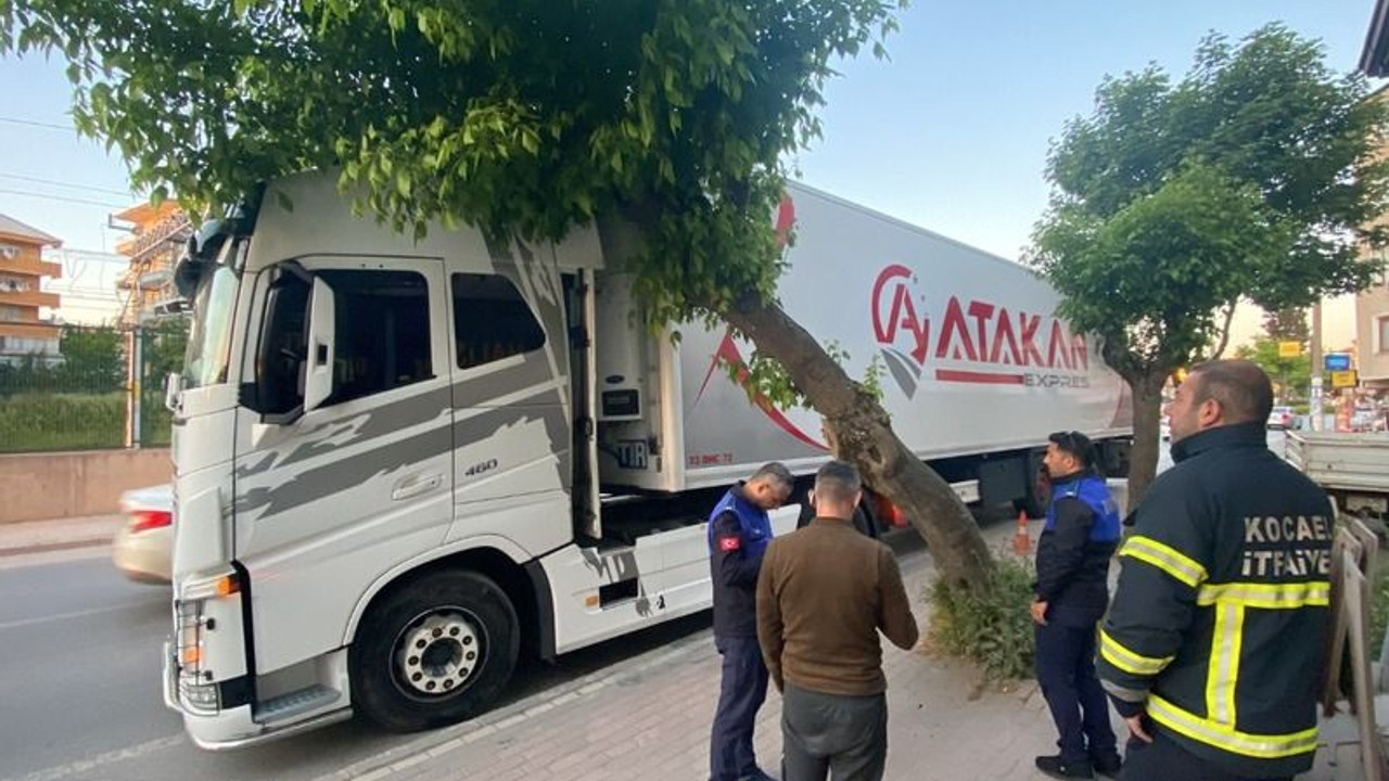 Tırın üzerine AĞAÇ DEVRİLDİ