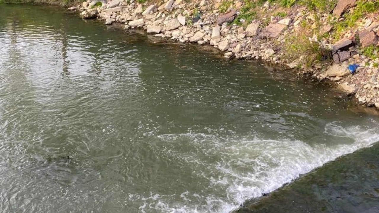 Kocaeli’deki çevre katliamı TBMM gündeminde