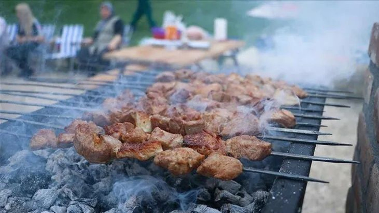 Kocaeli’de mangal yasağı geliyor!