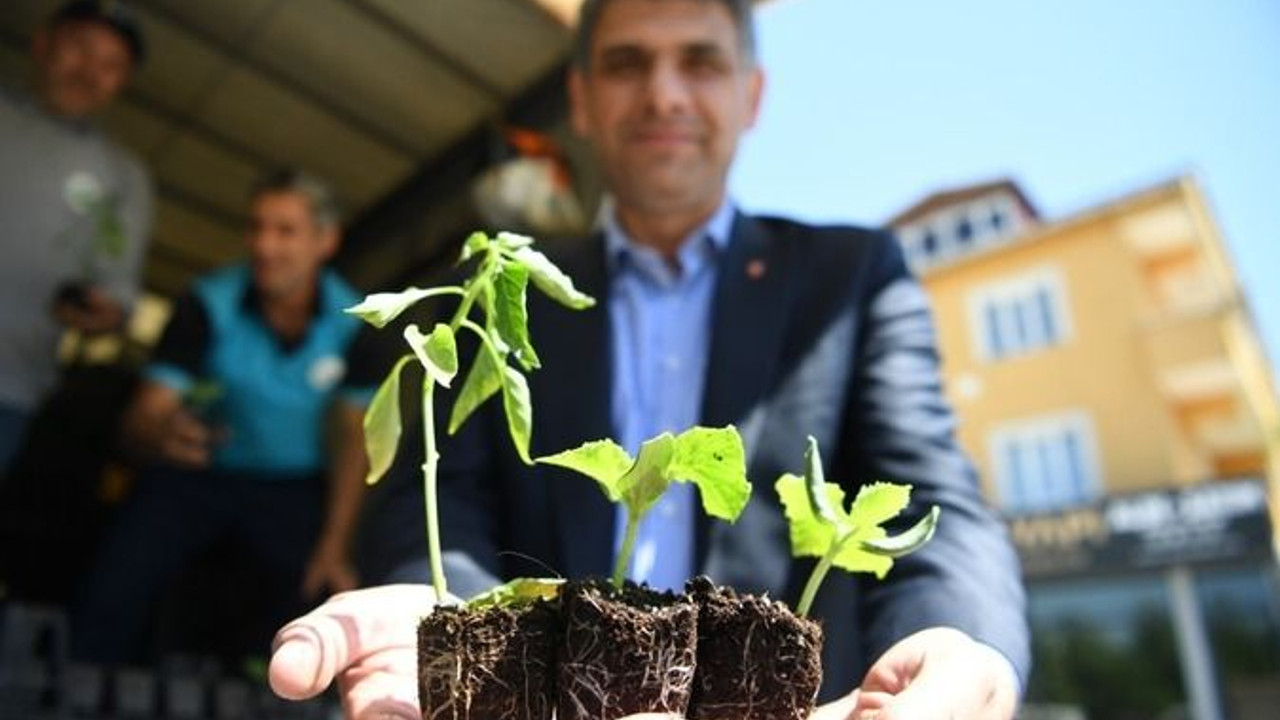 123 bin fidanı toprakla buluşturdular