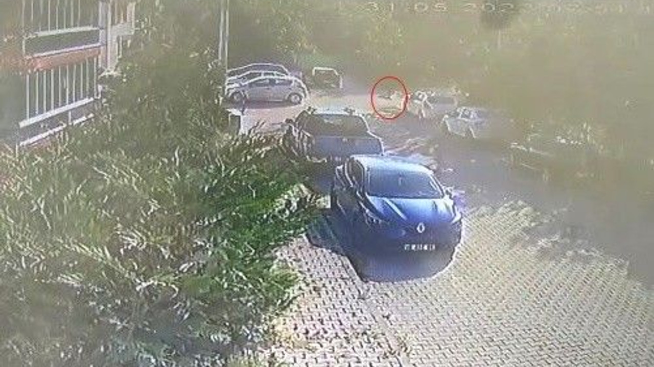 Köpeğe çarpıp yoluna devam etti