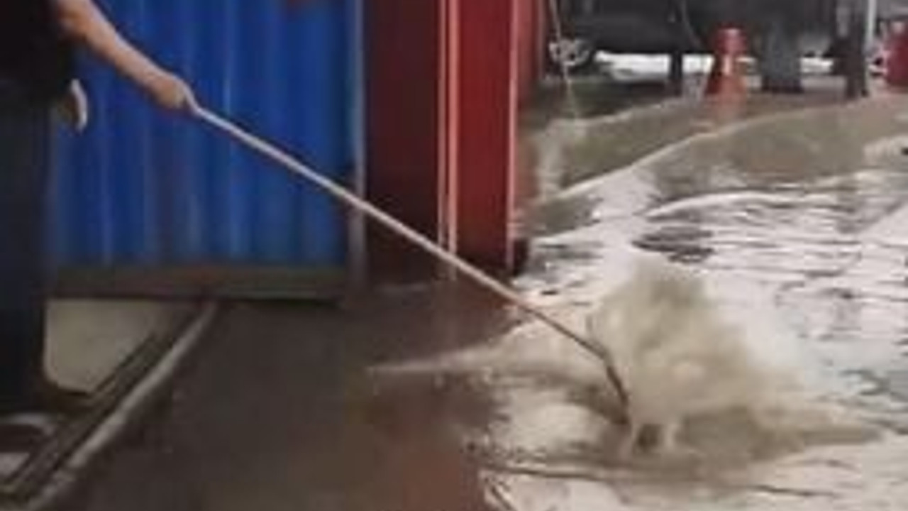 Körfez yine bildiğiniz gibi... SAĞANAKTA HER YERİ SU BASTI!